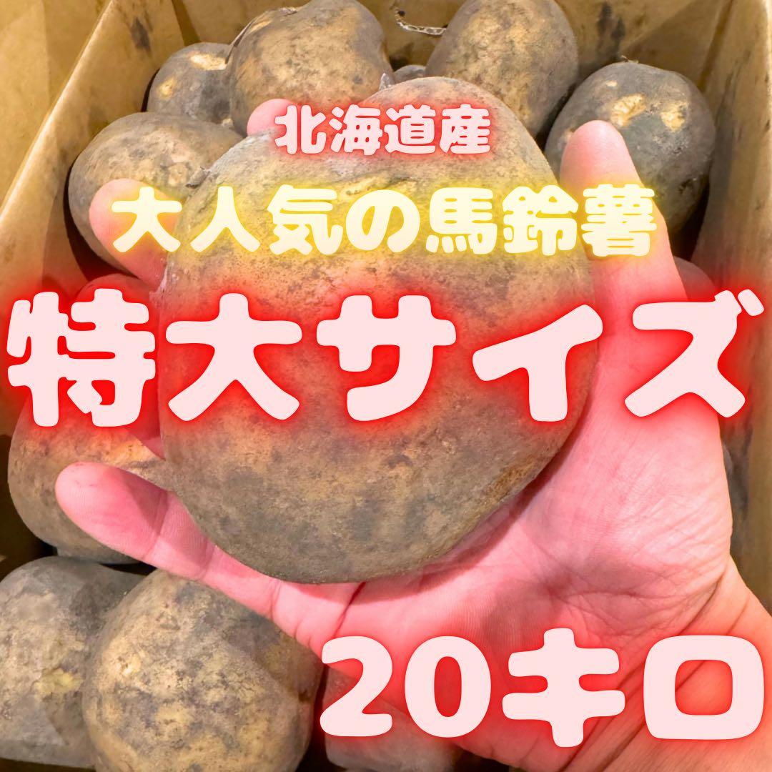 ジャンボサイズ　数量限定　じゃがいも　04