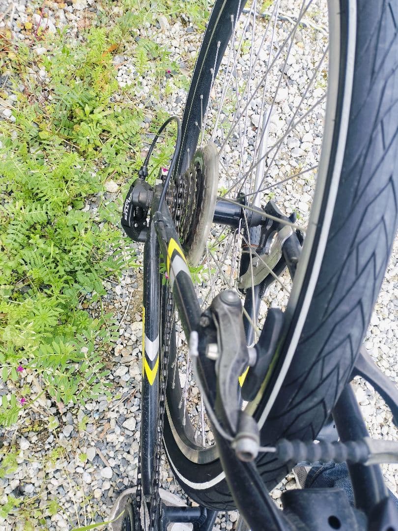 Treed Giant Rock5000 直接引取歓迎近県配送可