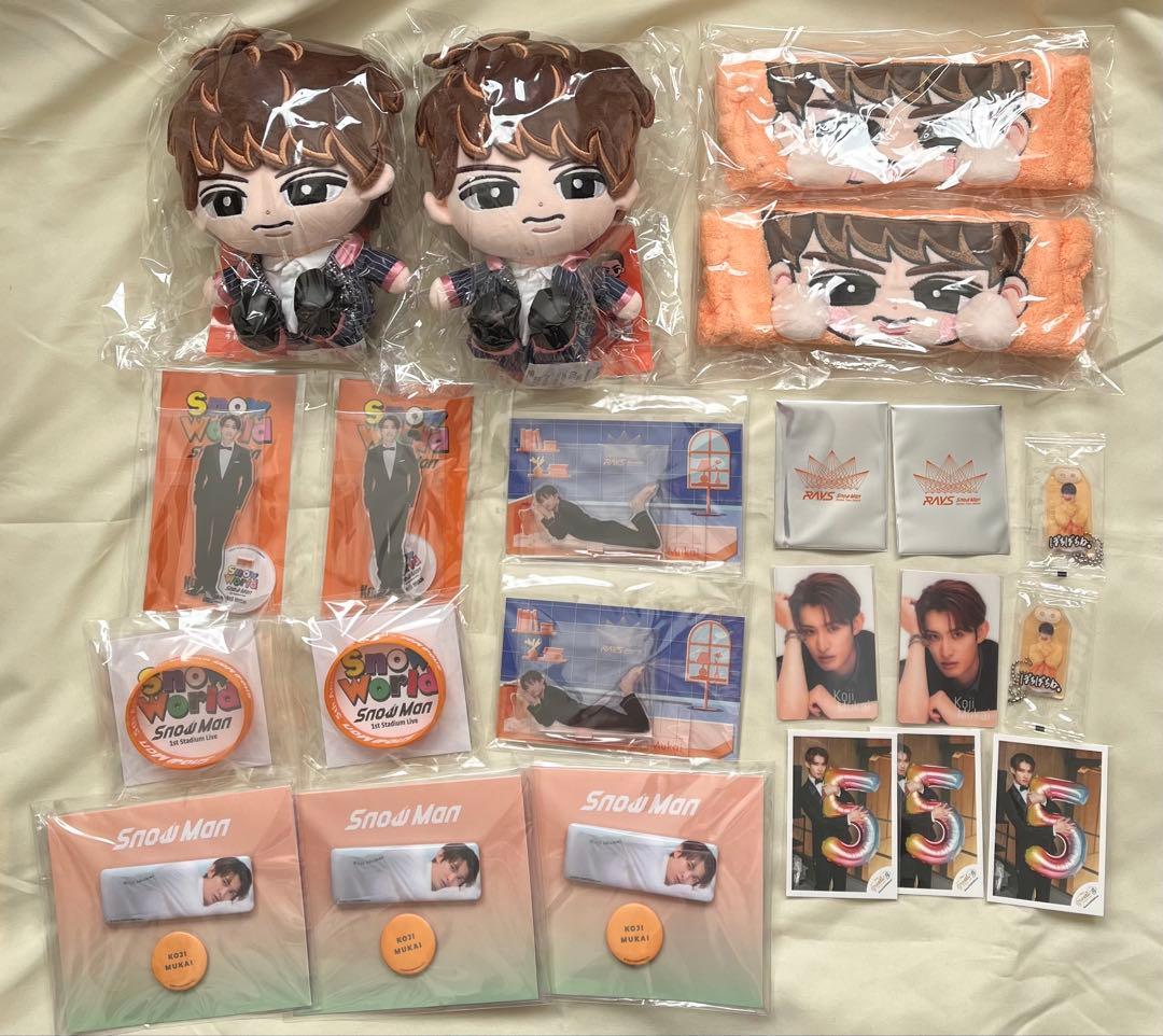  Man 向井康二 すのチル（チルぬい） ・アクスタ 等 グッズセット