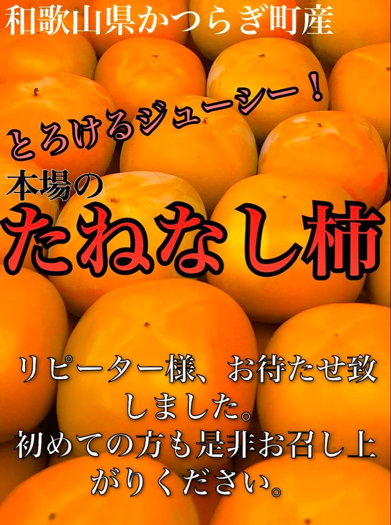 ゴジラ❣️甘くてジューシーな種なし柿❣️ご家庭用