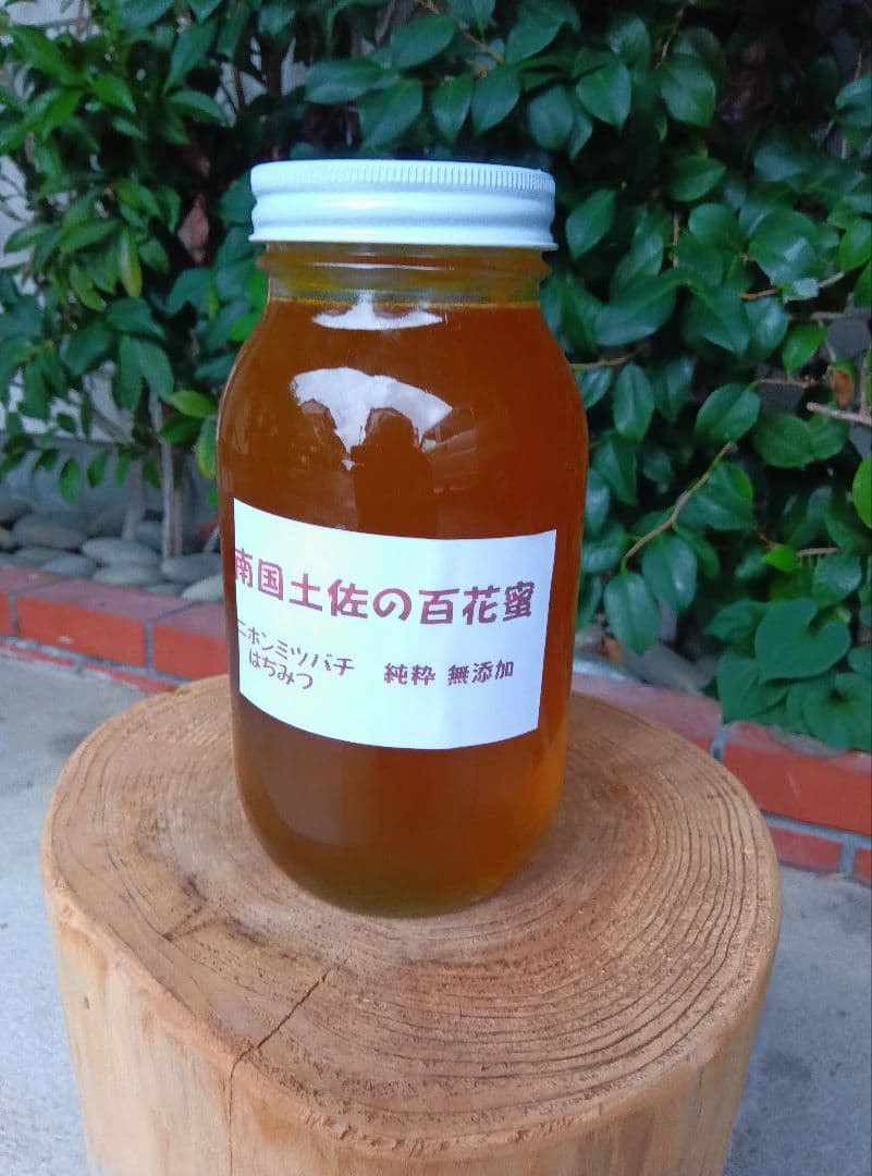 ニホンミツバチ蜂蜜　南国土佐の百花蜜　無添加　無加工　たれ蜜