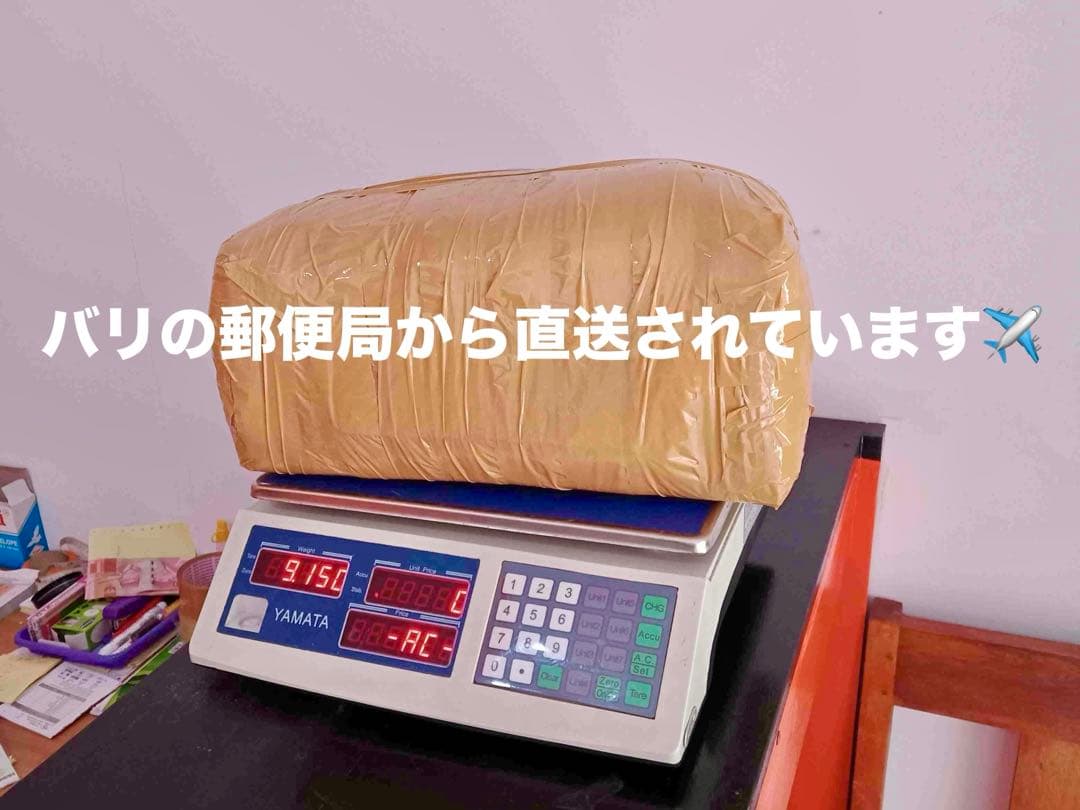 バリ島 クサンバの塩(完全天日塩)約10kg 【⚠️検品なし】1点限り