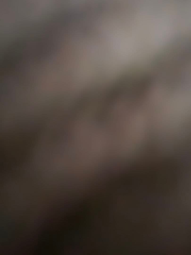 ひろと
