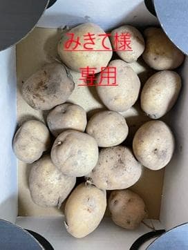 みきて