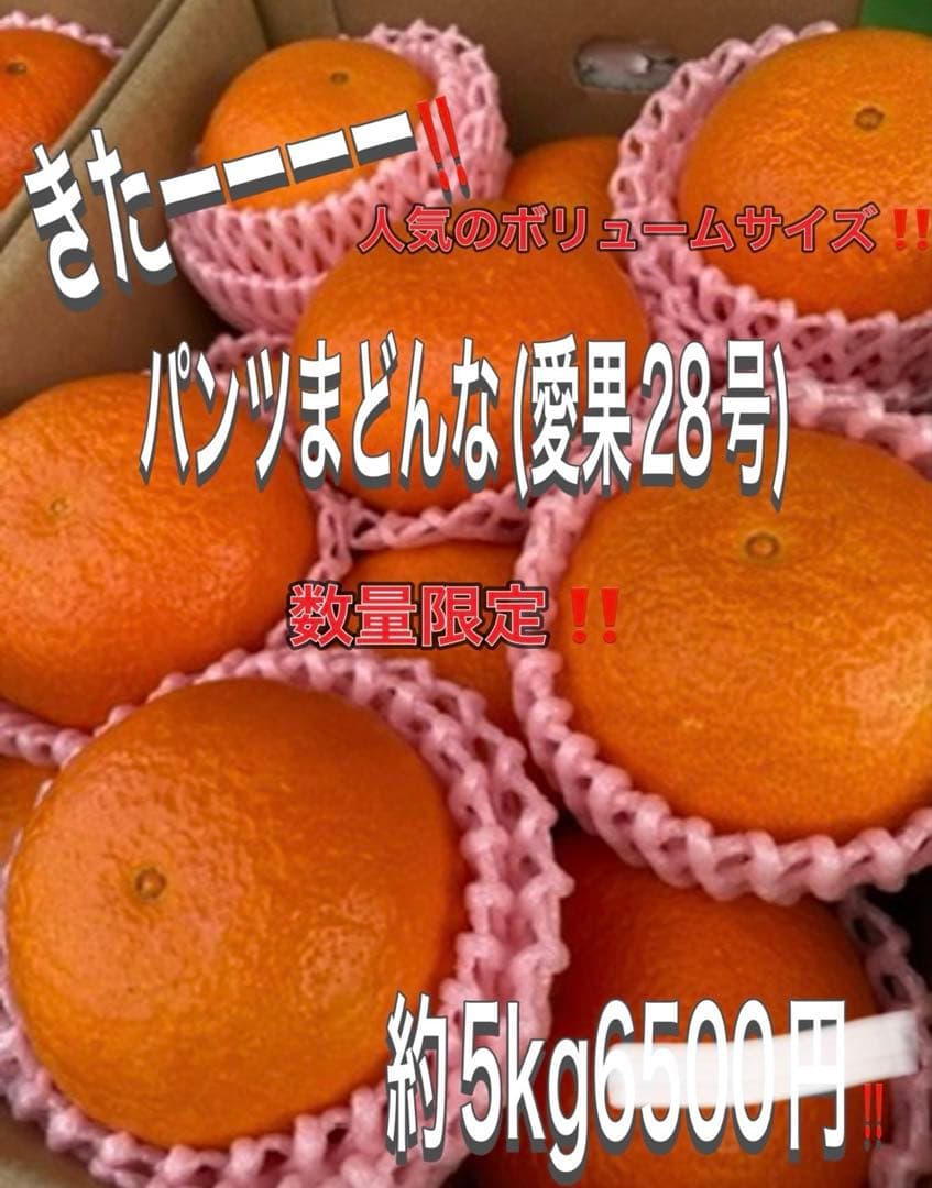 専用2箱