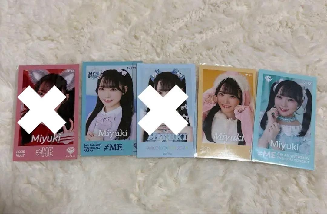 本田珠由記　ミニフォト　レア　まとめ売り
