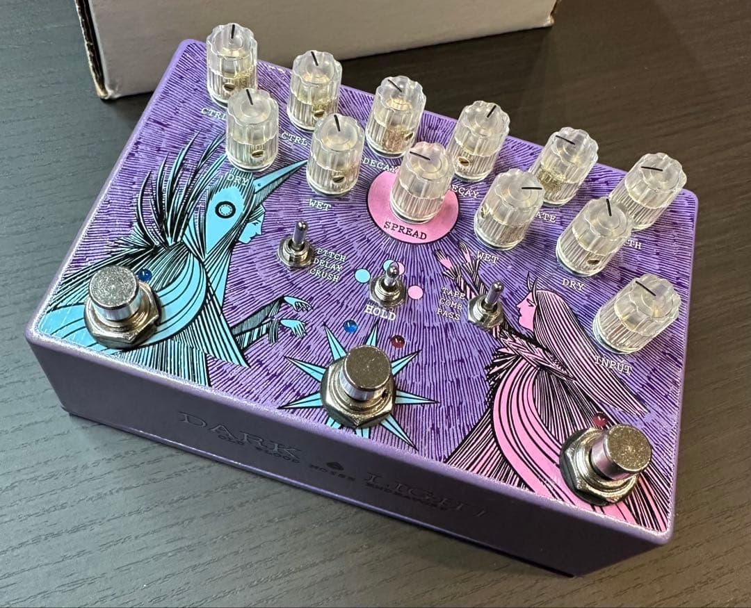 ギター OLD BLOOD NOISE ENDEAVORS DARK LIGHT