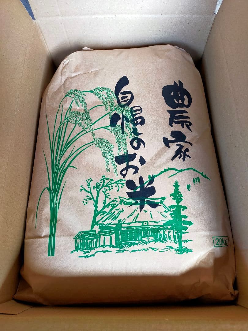 農家直送　20キロ　玄米　令和7年産コシヒカリ⑤