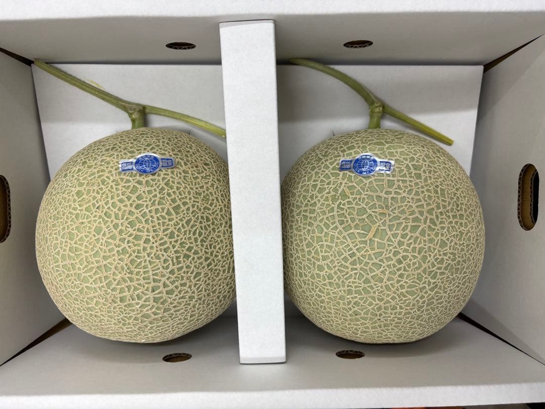 産地直送！アールスメロン2玉入‼️箱込4キロ前後　6ケース