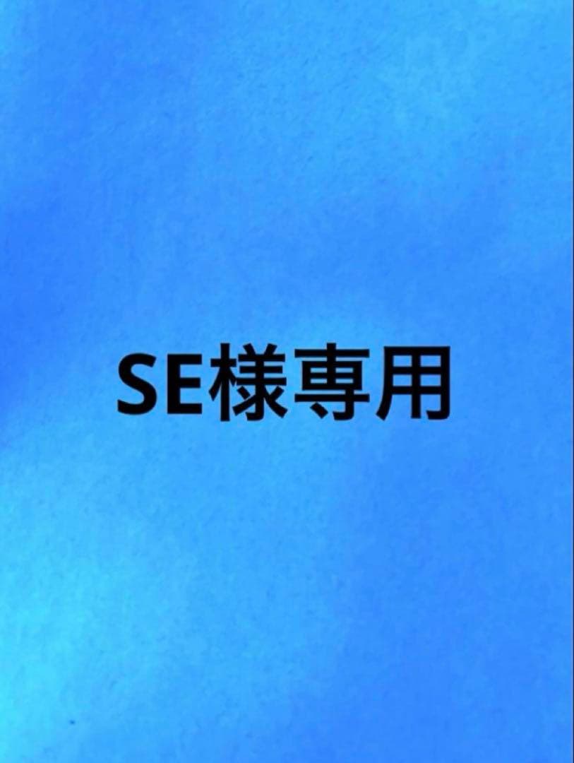 SEページ