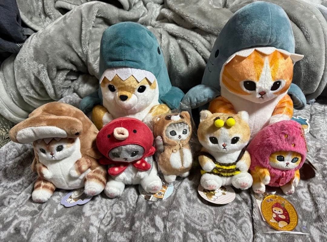 モフサンド 8点セット