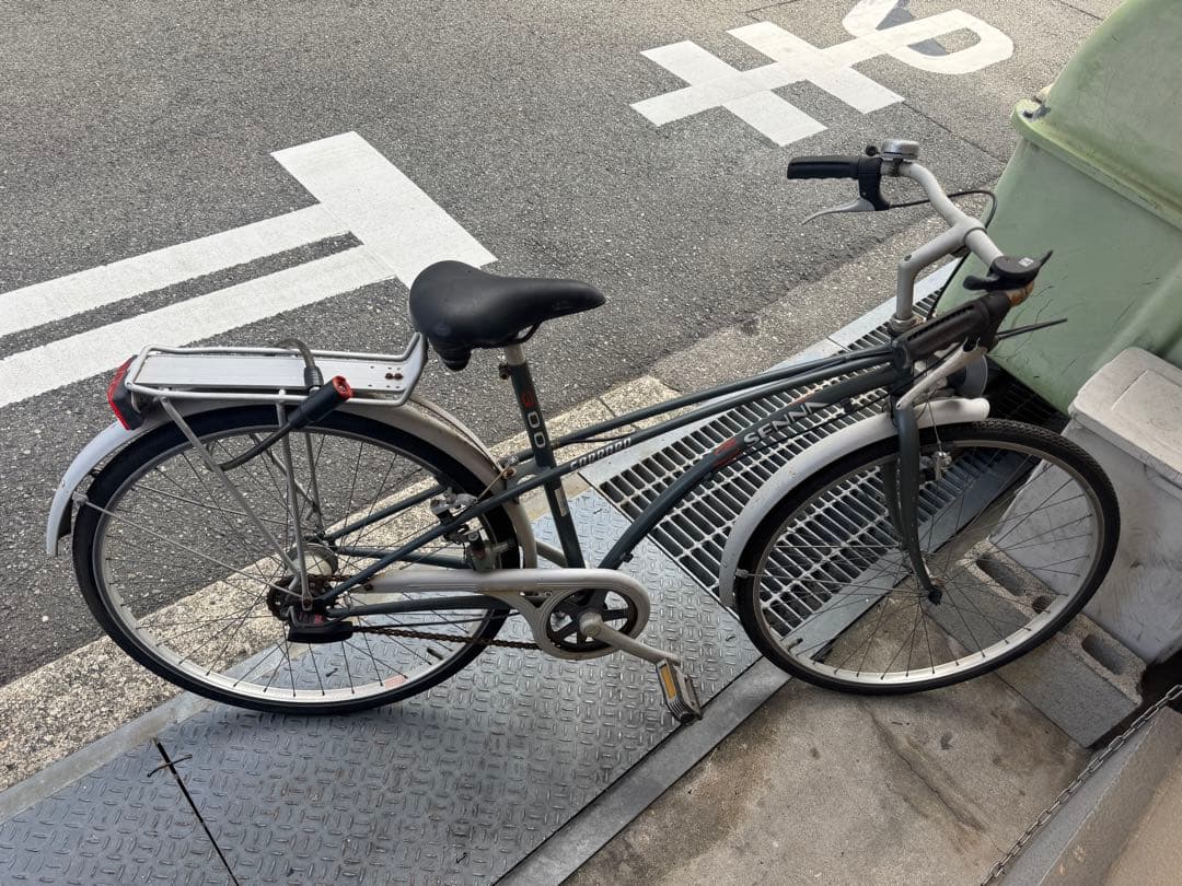 アイルトンセナ自転車