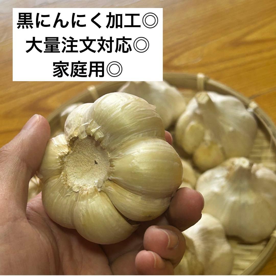 【大特価】青森県産 にんにく L 20kg 福地ホワイト 免疫力アップ 激安