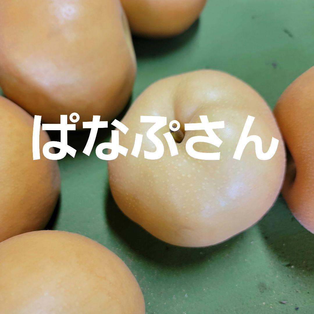 南水10キロ