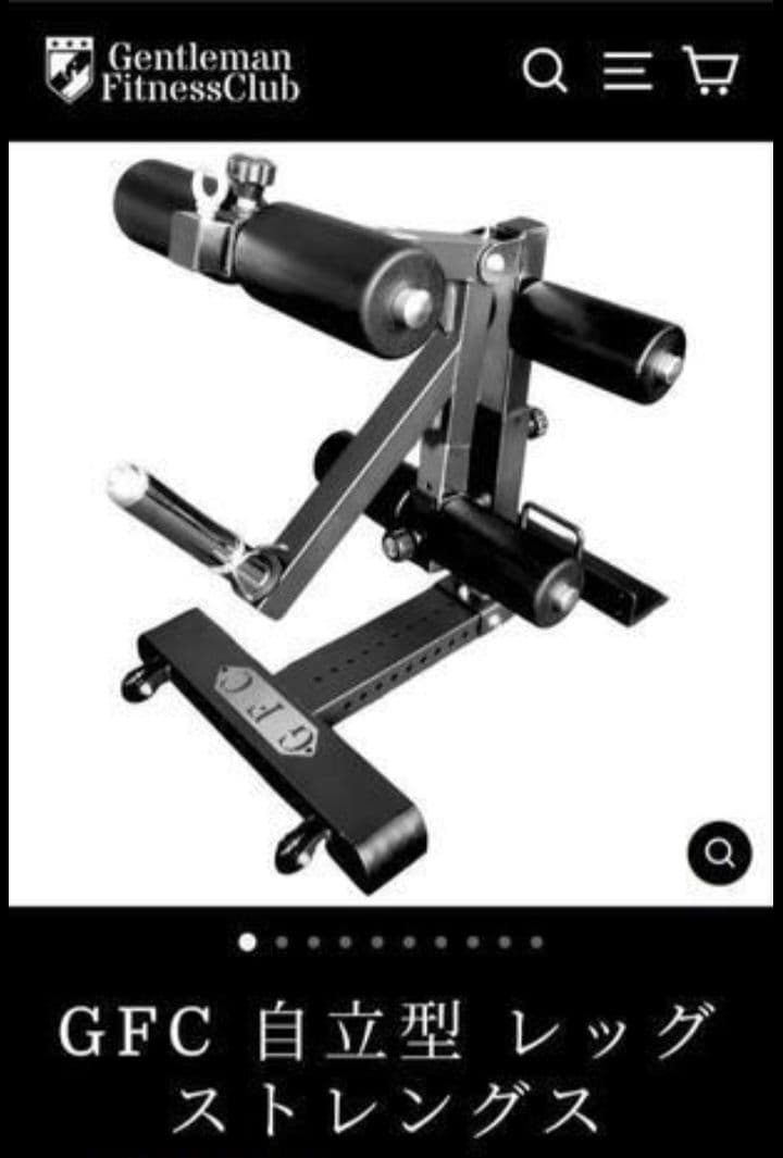 GFC 自立型レッグストレングス(発送不可、引き取り限定)
