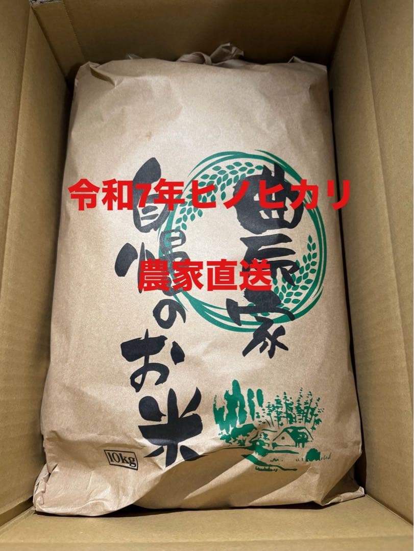 令和7年産　【ヒノヒカリ】　10キロ　農家直送　愛媛産　白米　お米