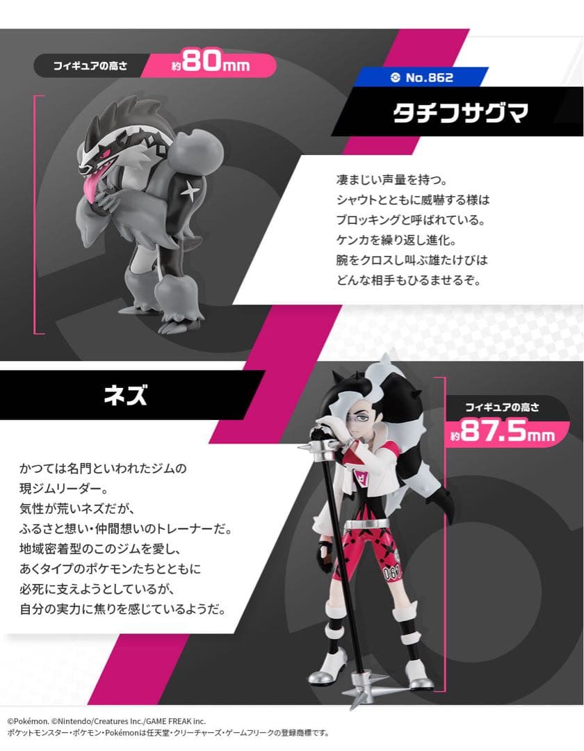 ポケモンスケールワールド ガラル地方 ネズ＆タチフサグマ