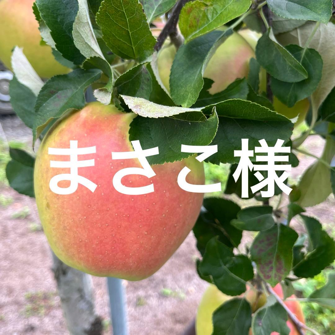 まさこページ✨10kg