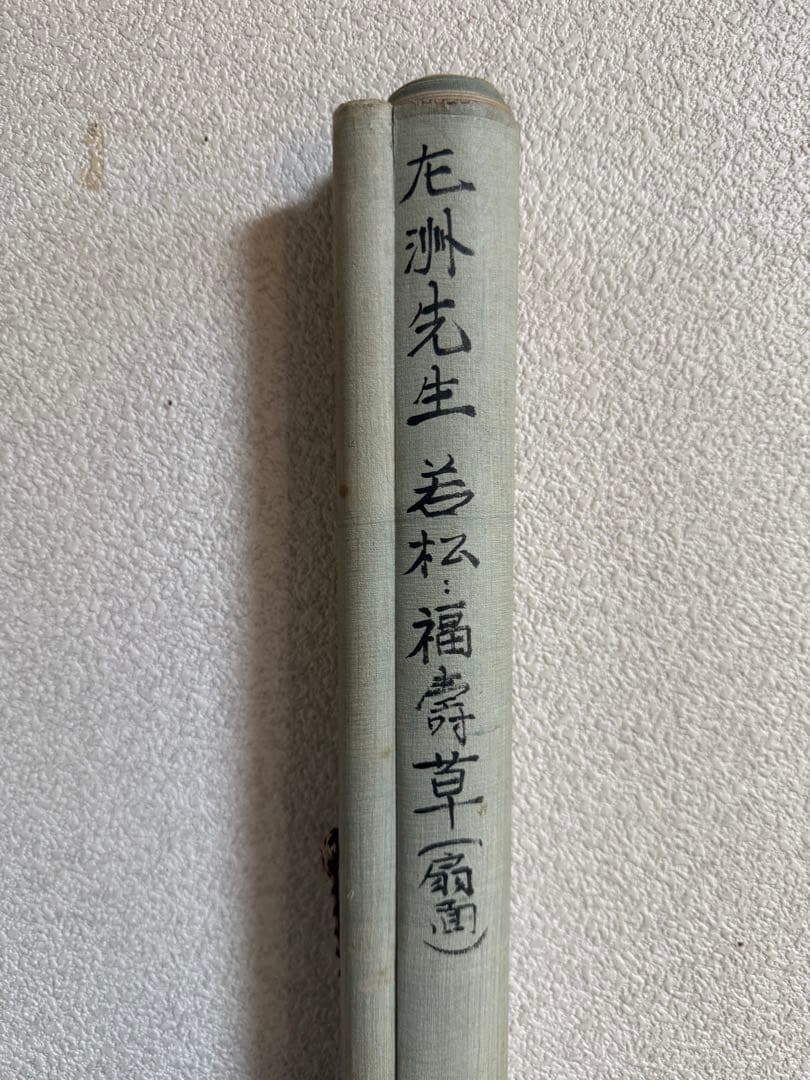 中村左州筆　若松福寿草扇面　紙本肉筆　掛軸　送料込み251030