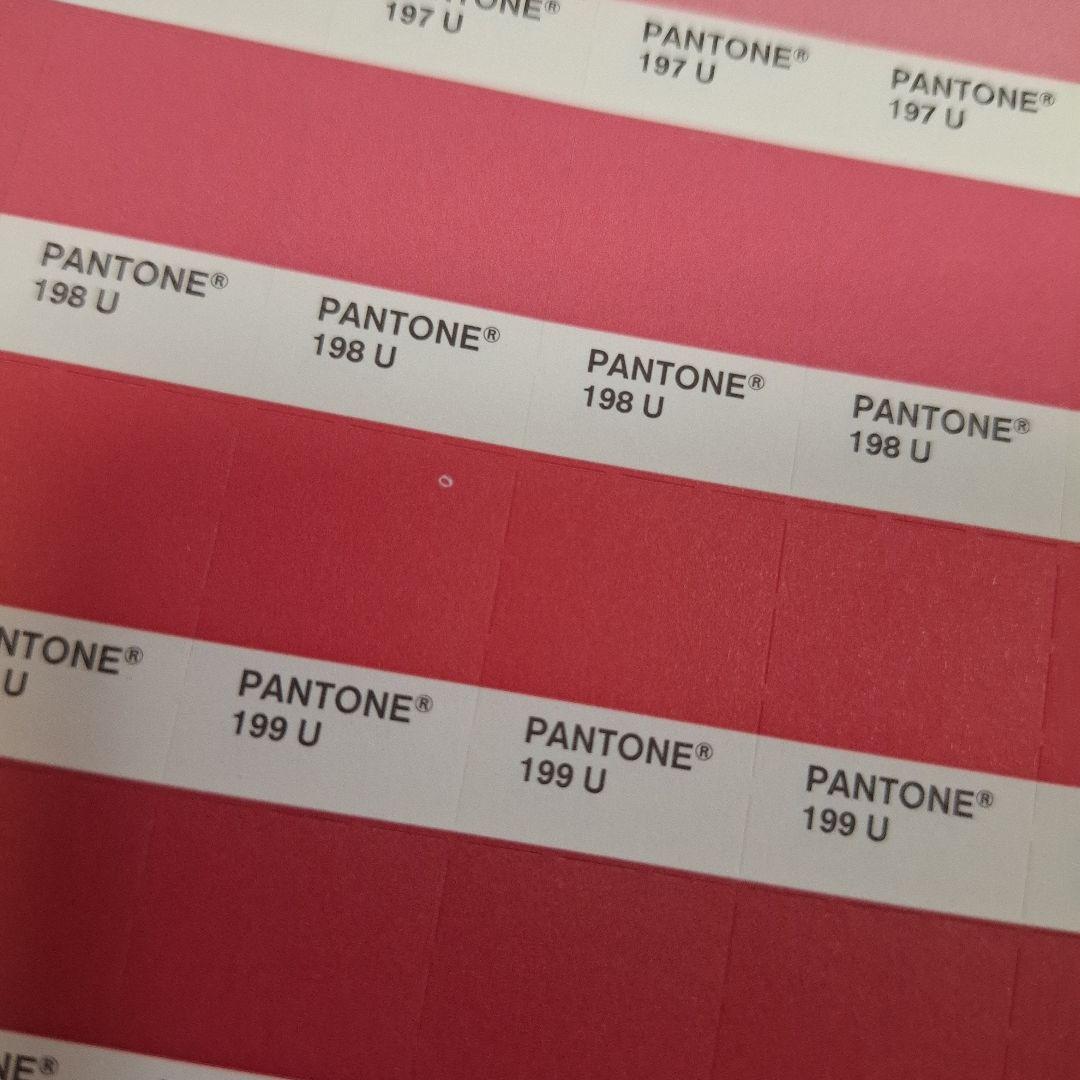 【PANTONE】 solid chips uncoated カラー見本