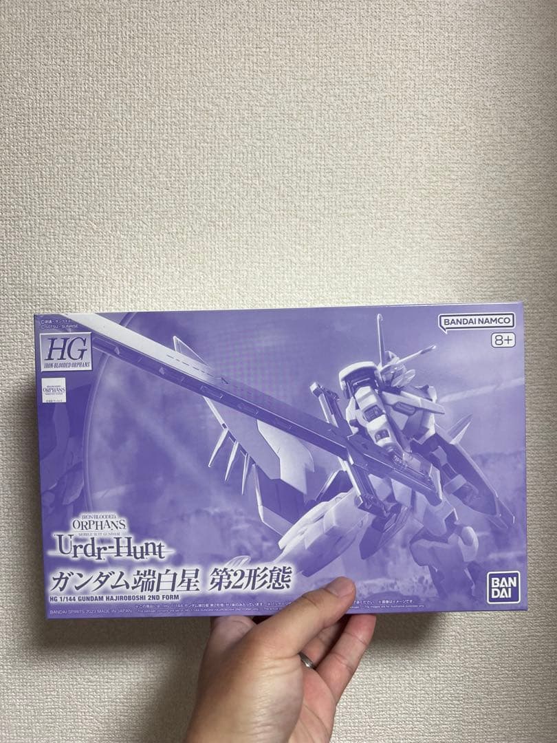 HG 1/144 ガンダム端白星 第2形態
