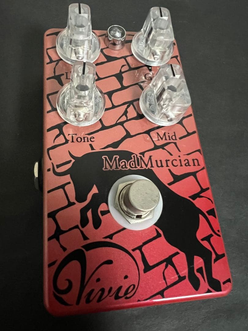 ギター Vivie MadMurcian