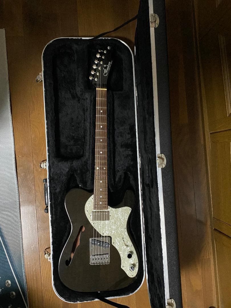 FREEDOM CUSTOM GUITAR BLACK PEPPER ケース付