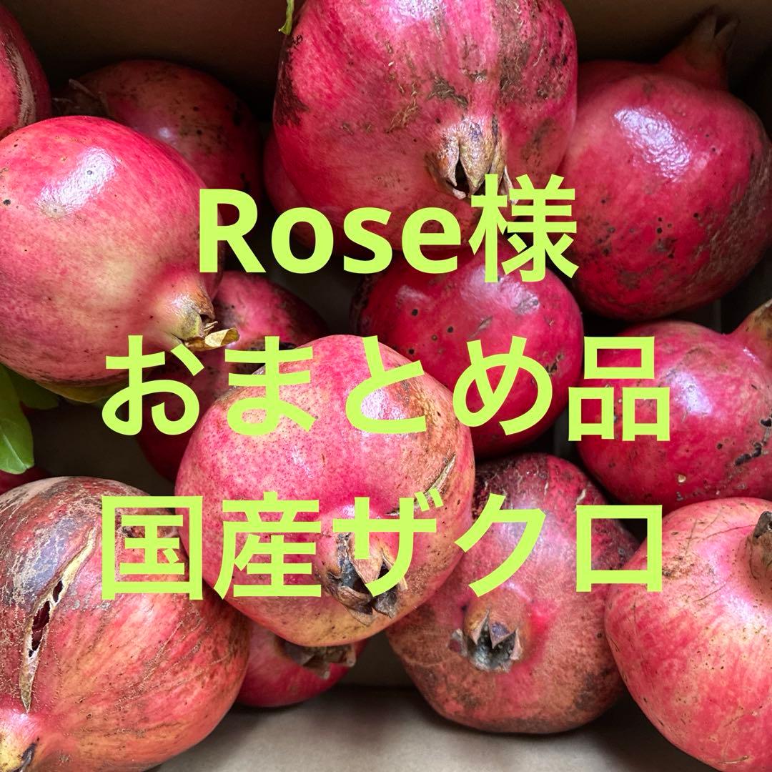 無農薬・国産ザクロ、箱込み10Kg