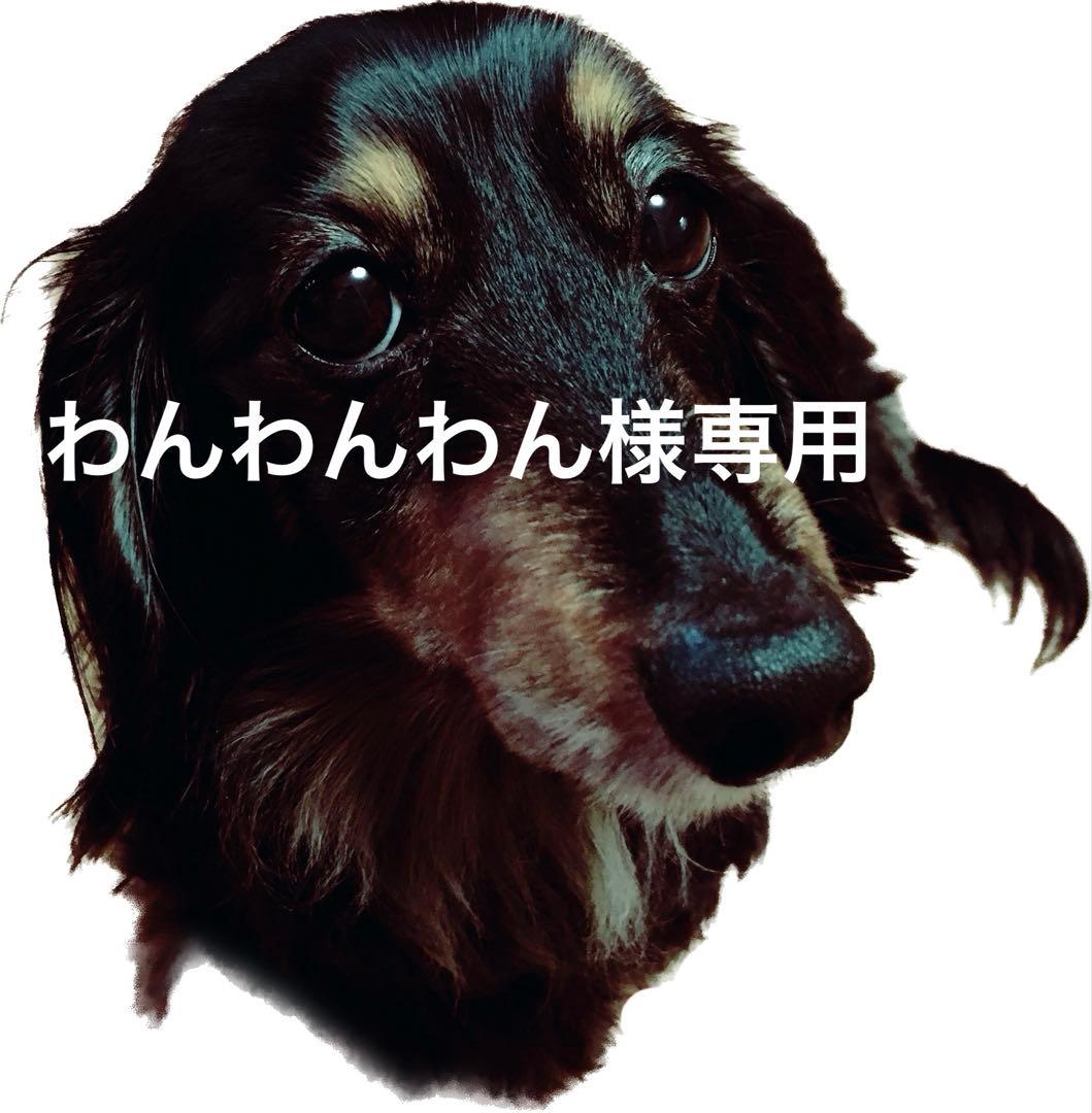 わんわんわん