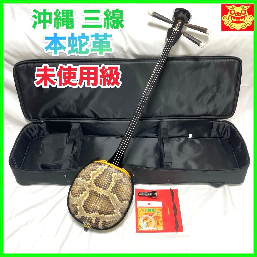 三線 沖縄 本蛇革 蛇革 蛇皮 ケース 付属品 和楽器 初心者 中級者