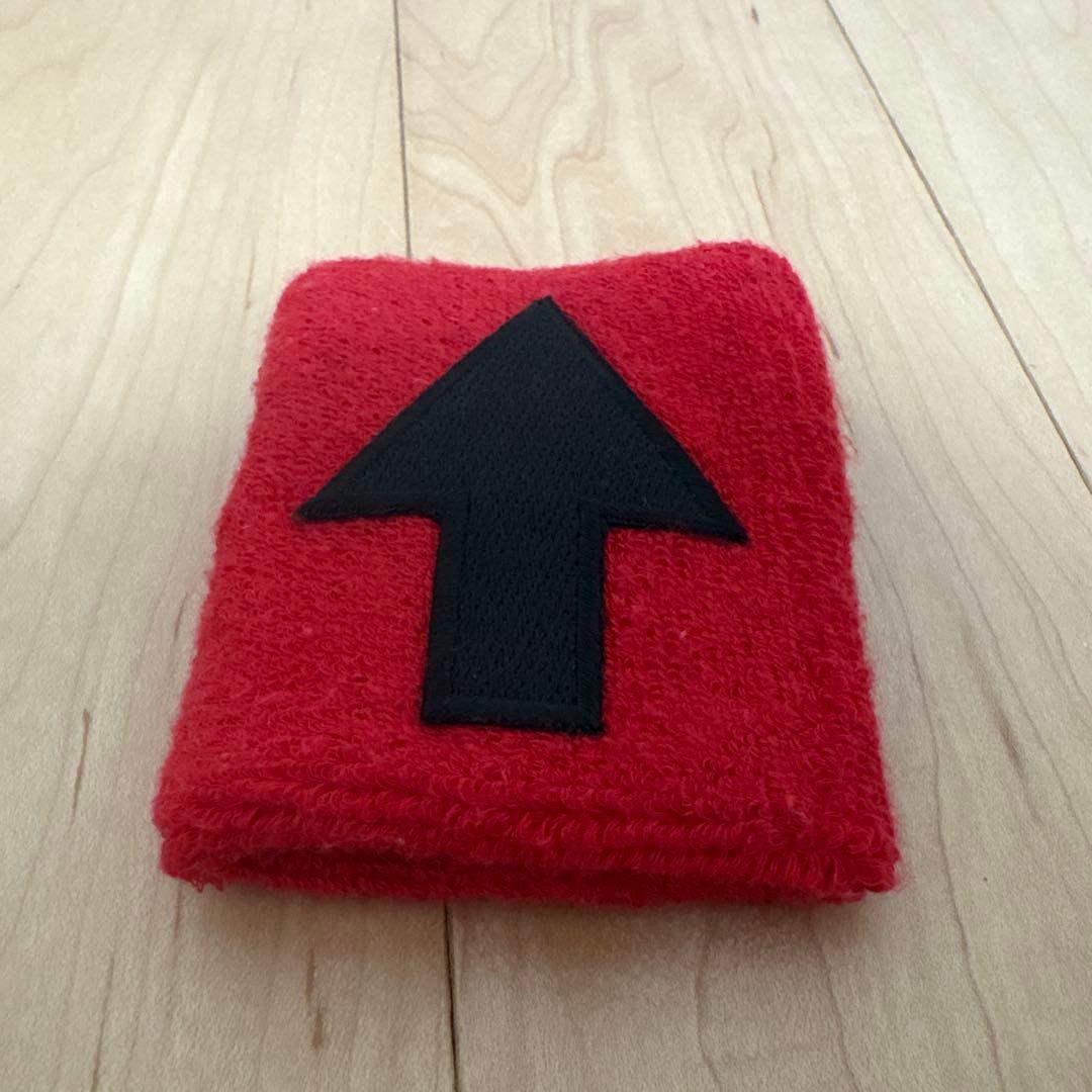 THE HIGH-LOWS 公式リストバンド（赤）↑ロゴ刺繍 ハイロウズ