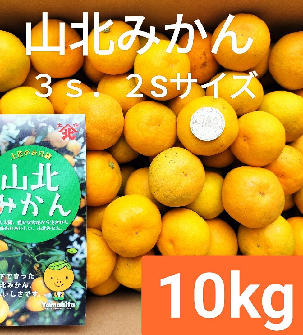 高知産　約１０ｋｇ　露地山北みかん　２Ｓ３Ｓ　秀品　北海道沖縄発送不可
