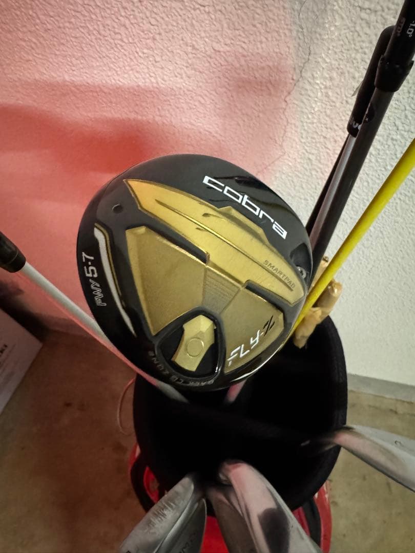 ゴルフクラブ5本＋SRIXONキャディバッグ｜PING,cobra,HONMA
