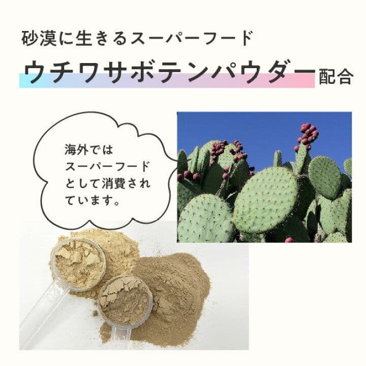 3kg×2個　合計6㎏　酵母プロテイン　ミルクティー風味　ココア風味
