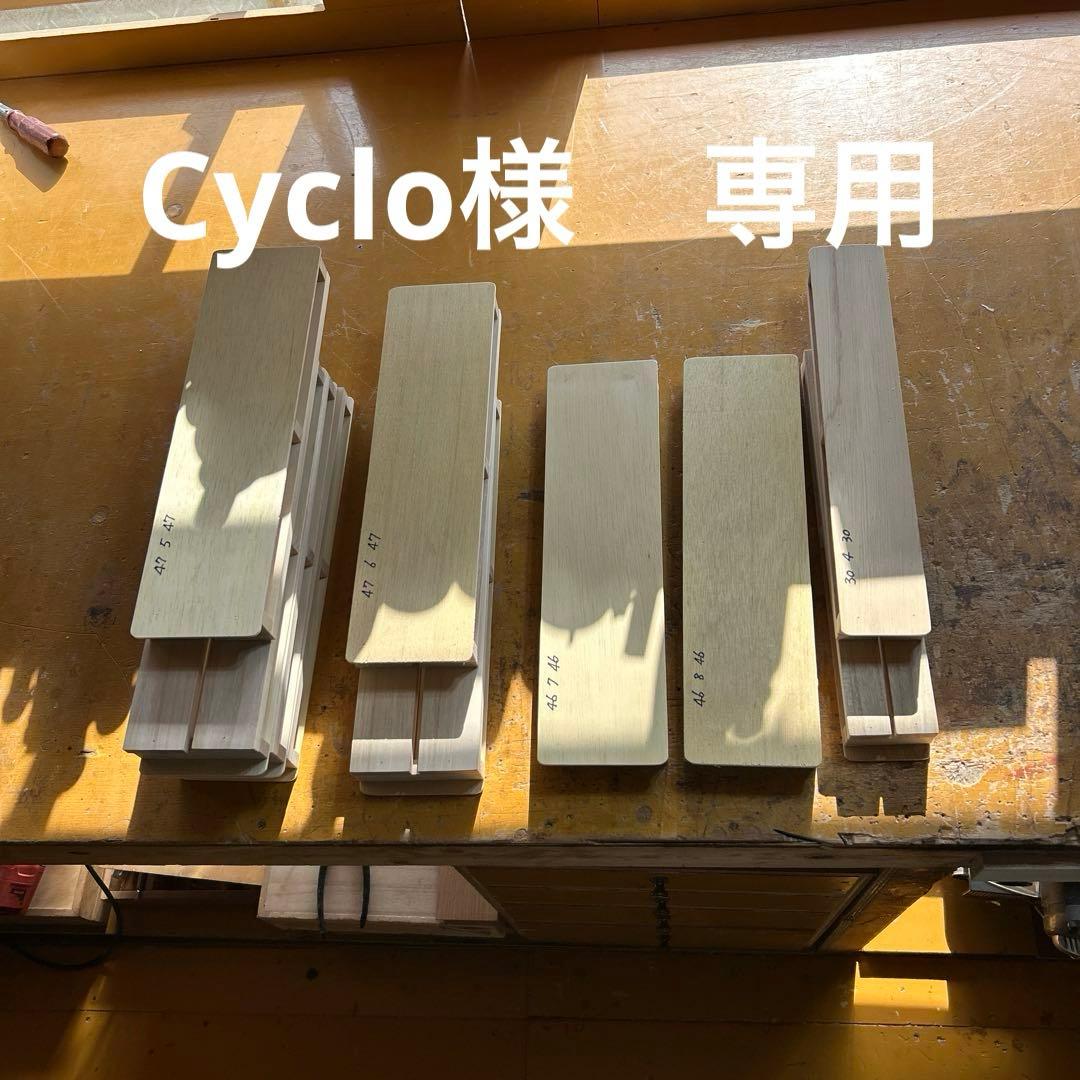 展翅板　10枚