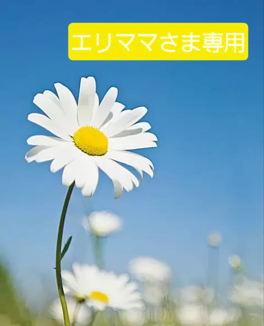 iqumore イクモアロイヤルサプリメント