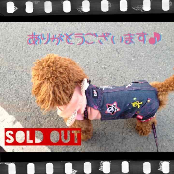 Leadファンイベグッズ