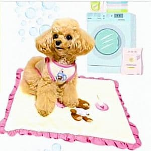 C Laundry Bearフリルタンク＆マット セット　circusサーカス