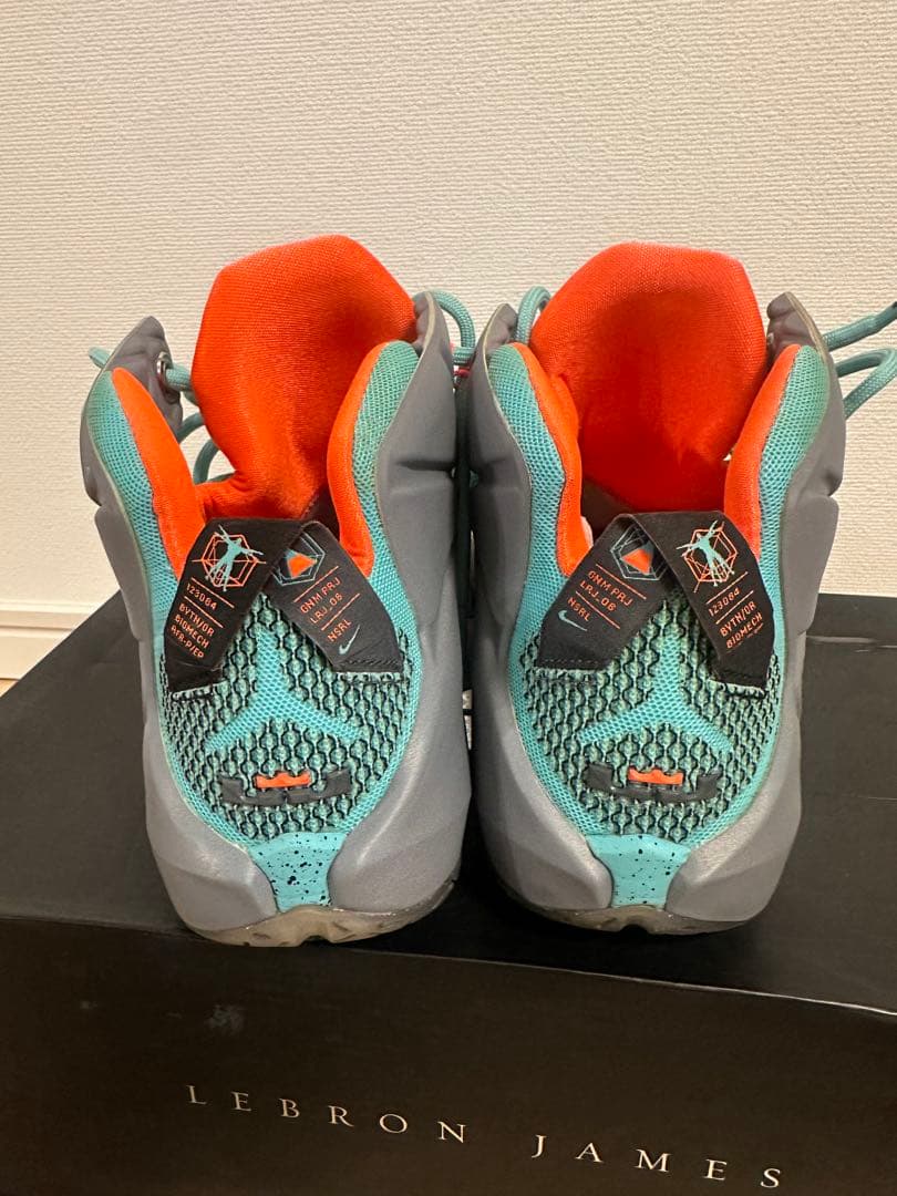 LEBRON XII レブロン12　NIKE バッシュ　ナイキ