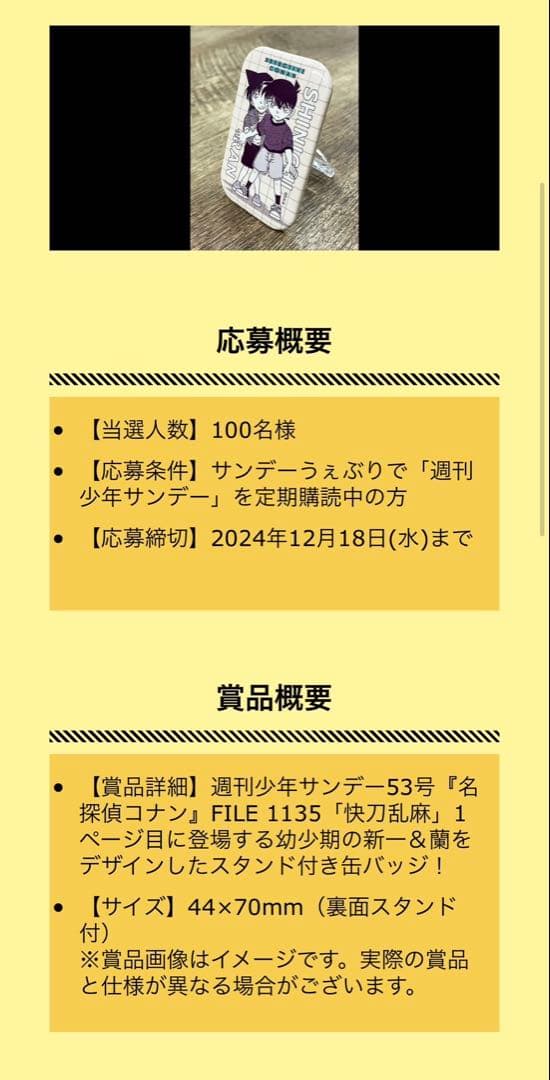 名探偵コナン　当選品　毛利蘭　工藤新一　スタンド付き缶バッジ
