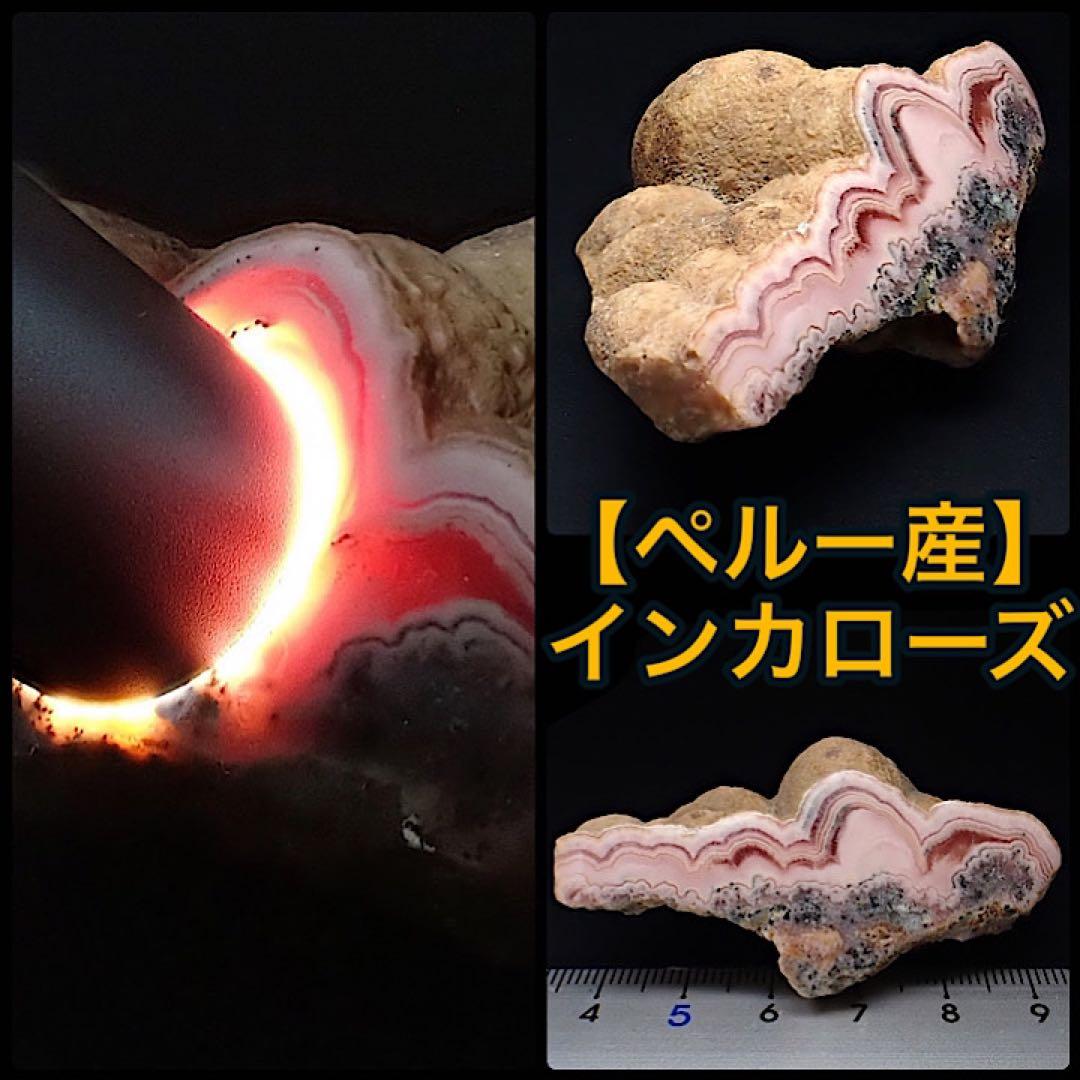 【ペルー産】インカローズ
