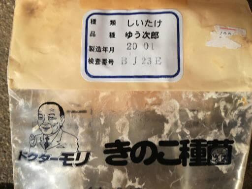 キコさまご予約専用 大分県特産 生どんこ椎茸「秋子」ダブル