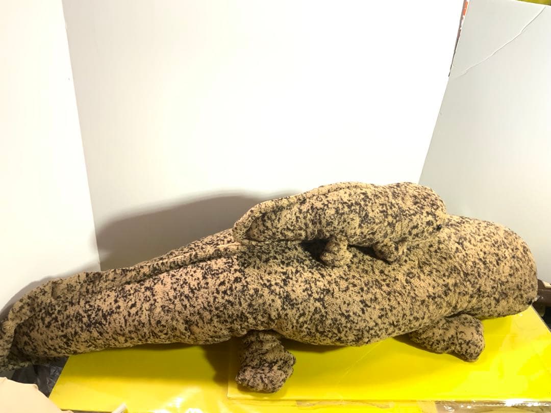 オオサンショウウオ　BIG 大約８５センチ　小約30センチ　小約20センチ