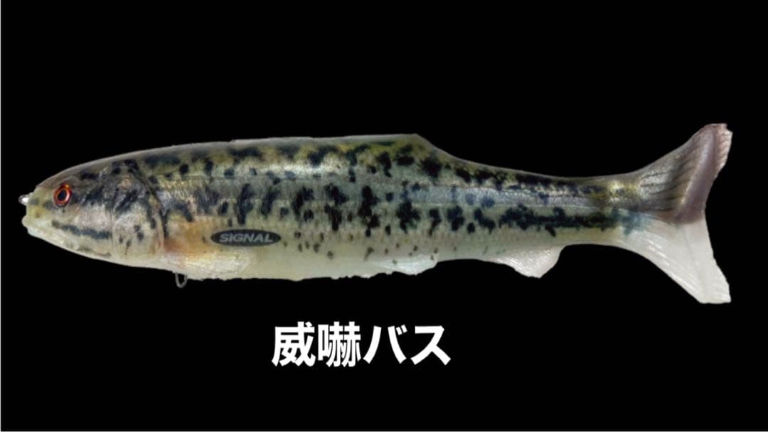 スイムベイト