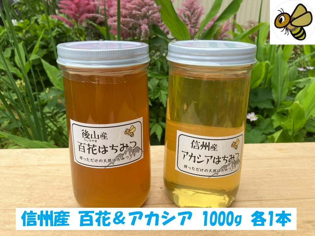 【令7新蜜】百花＆アカシア 1000g 各１本 長野県産 生はちみつ 西洋蜜蜂
