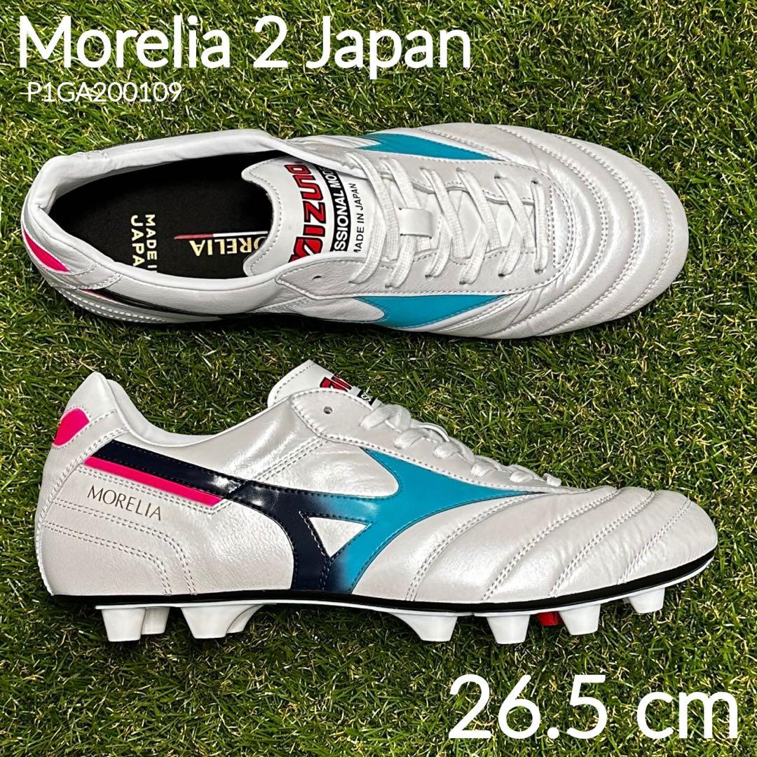 【よっち様 特別仕様】モレリア2ジャパン　ペイントカスタムモデル　26.5㌢