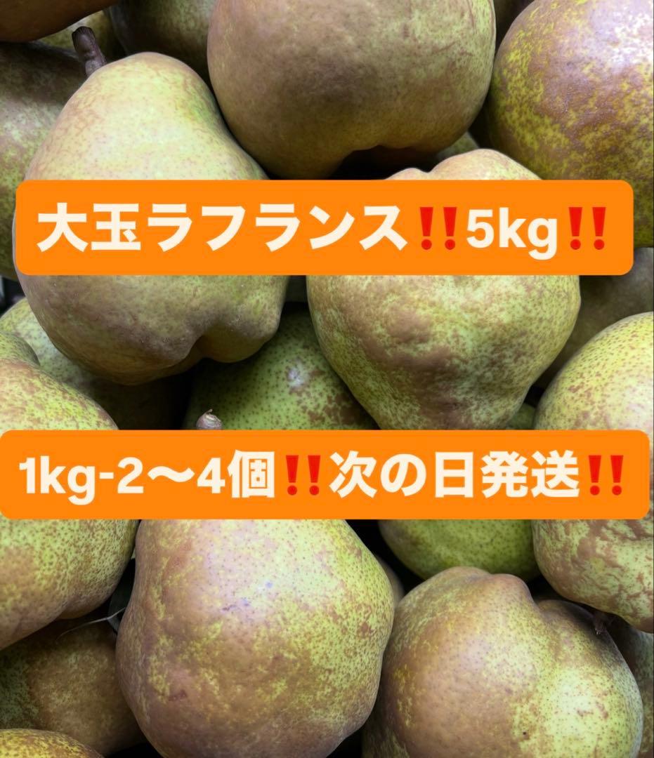 ntth　20キロ