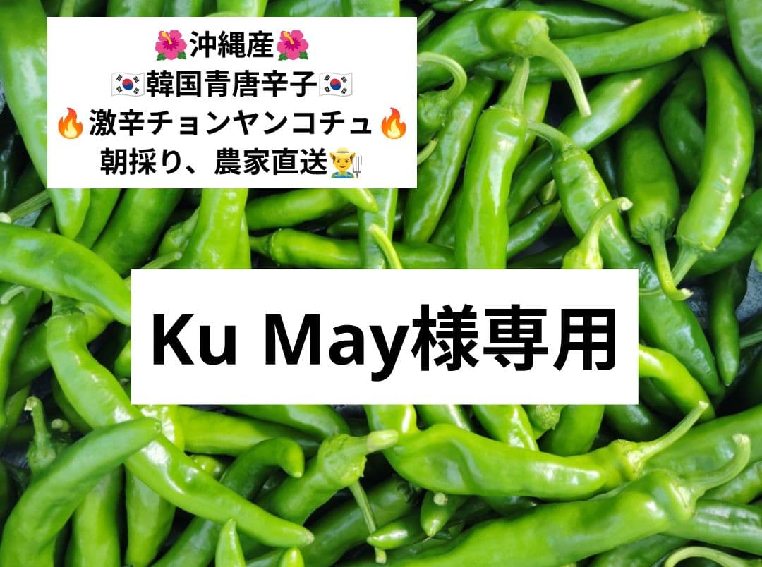 Ku May☆韓国青唐辛子☆激辛チョンヤンコチュ☆10kg