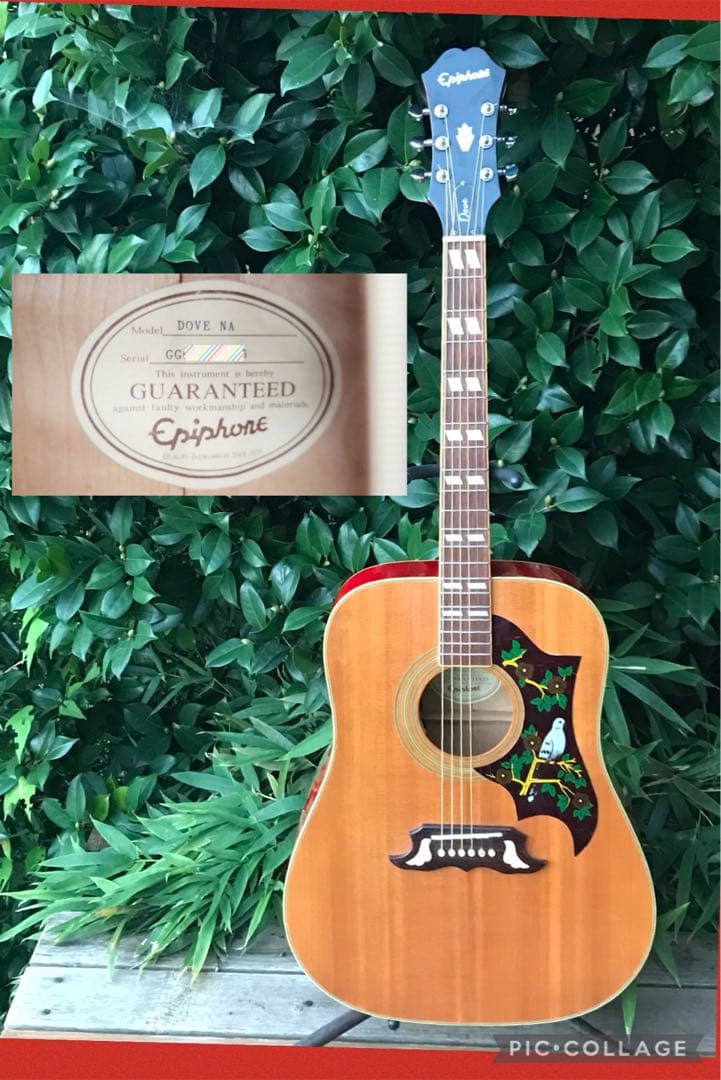 Epiphone DOVE NA Fishman搭載