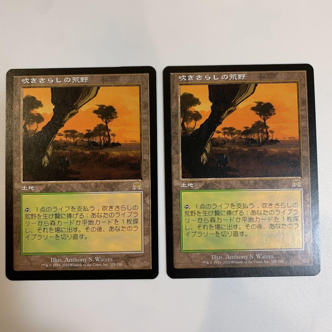 MTG 吹きさらしの荒野　日本語2 値下げ